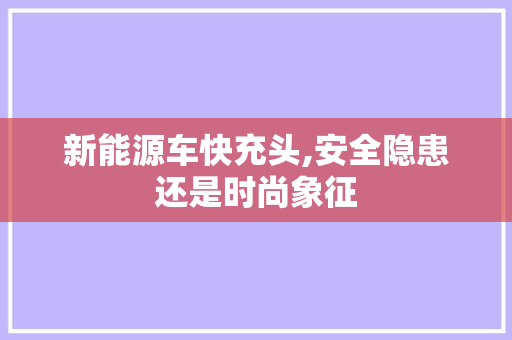 新能源车快充头,安全隐患还是时尚象征