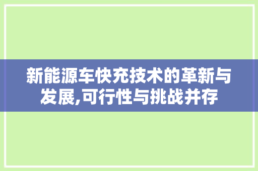 新能源车快充技术的革新与发展,可行性与挑战并存