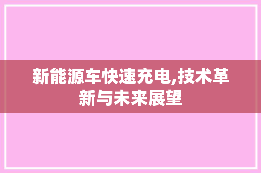 新能源车快速充电,技术革新与未来展望