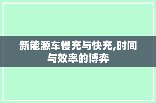 新能源车慢充与快充,时间与效率的博弈