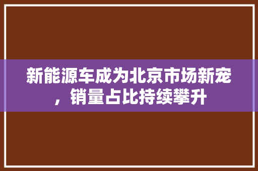 新能源车成为北京市场新宠，销量占比持续攀升