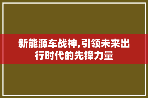 新能源车战神,引领未来出行时代的先锋力量