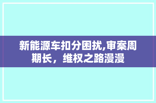 新能源车扣分困扰,审案周期长，维权之路漫漫