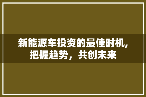 新能源车投资的最佳时机,把握趋势，共创未来