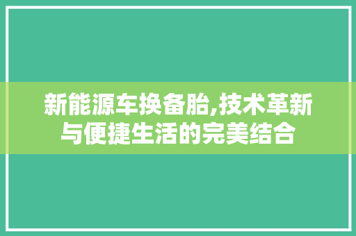 新能源车换备胎,技术革新与便捷生活的完美结合
