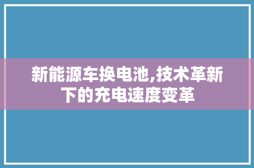新能源车换电池,技术革新下的充电速度变革