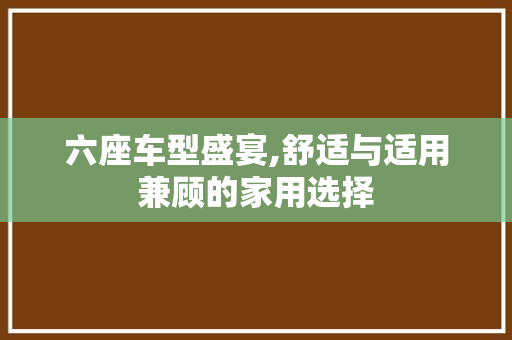 六座车型盛宴,舒适与适用兼顾的家用选择