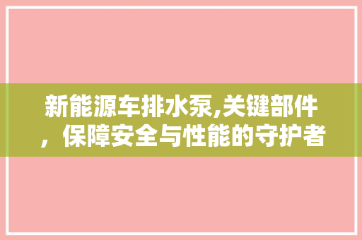 新能源车排水泵,关键部件，保障安全与性能的守护者
