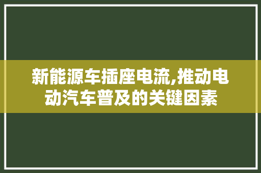 新能源车插座电流,推动电动汽车普及的关键因素
