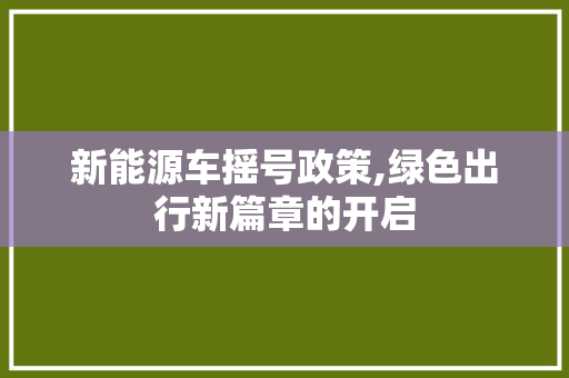 新能源车摇号政策,绿色出行新篇章的开启
