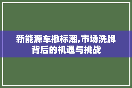 新能源车撤标潮,市场洗牌背后的机遇与挑战