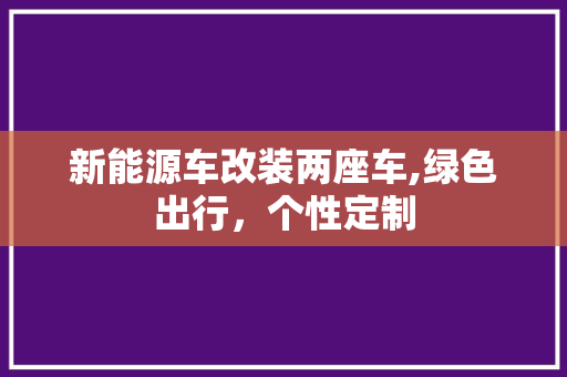 新能源车改装两座车,绿色出行，个性定制