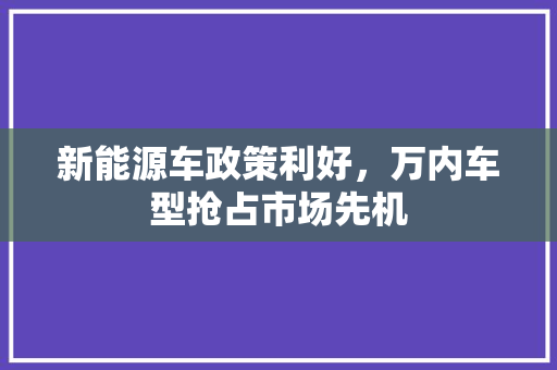 新能源车政策利好，万内车型抢占市场先机