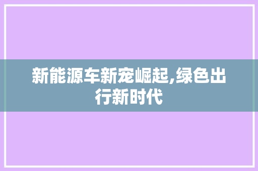 新能源车新宠崛起,绿色出行新时代