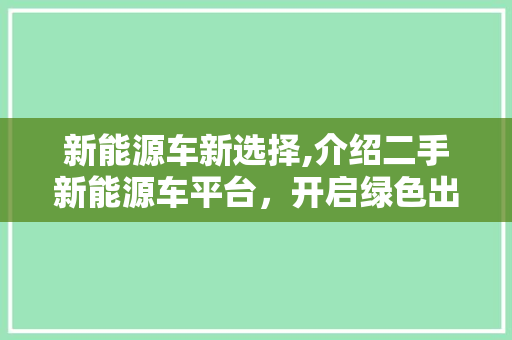 新能源车新选择,介绍二手新能源车平台，开启绿色出行新篇章
