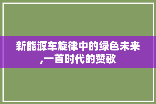 新能源车旋律中的绿色未来,一首时代的赞歌