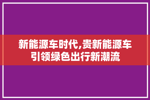 新能源车时代,贵新能源车引领绿色出行新潮流