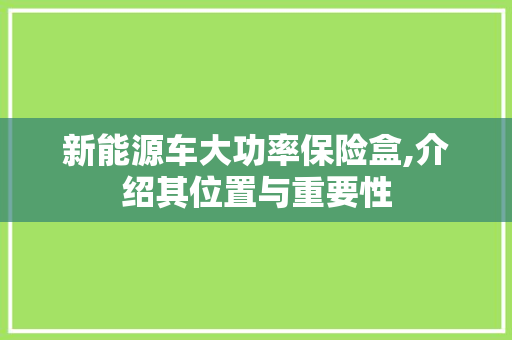 新能源车大功率保险盒,介绍其位置与重要性