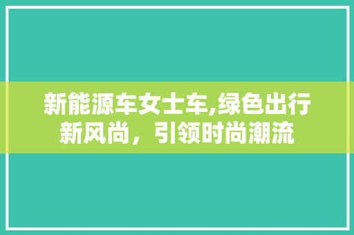 新能源车女士车,绿色出行新风尚，引领时尚潮流