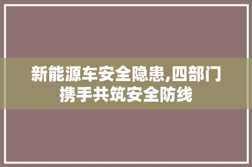 新能源车安全隐患,四部门携手共筑安全防线
