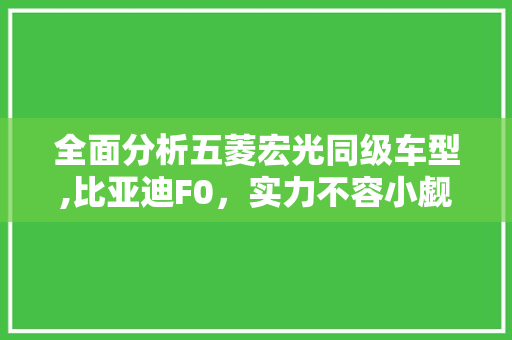 全面分析五菱宏光同级车型,比亚迪F0，实力不容小觑