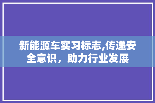 新能源车实习标志,传递安全意识，助力行业发展