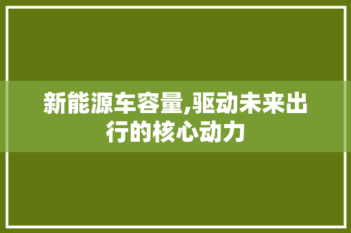 新能源车容量,驱动未来出行的核心动力