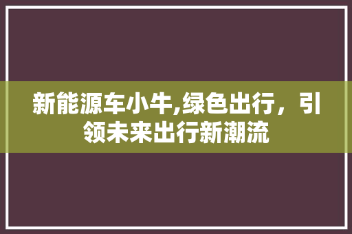 新能源车小牛,绿色出行，引领未来出行新潮流