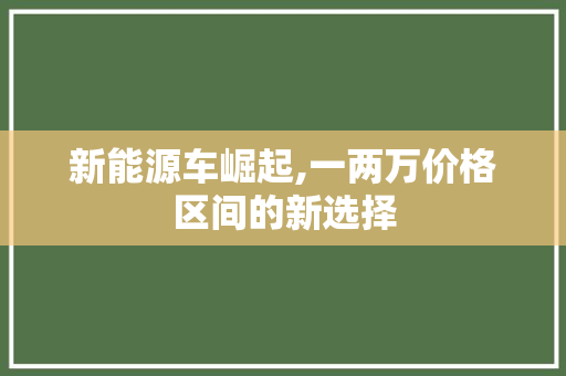 新能源车崛起,一两万价格区间的新选择