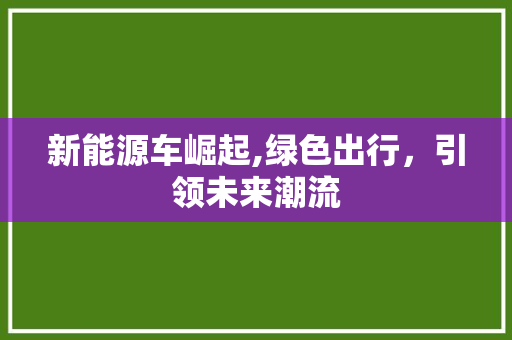 新能源车崛起,绿色出行，引领未来潮流