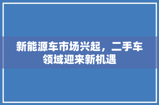 新能源车市场兴起，二手车领域迎来新机遇
