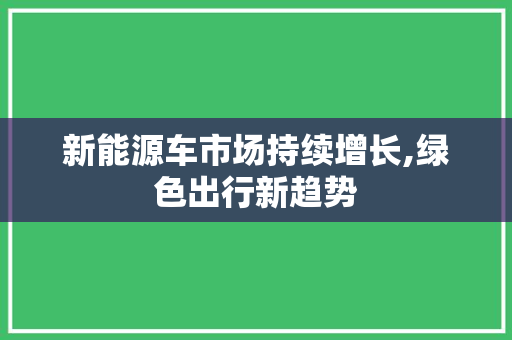 新能源车市场持续增长,绿色出行新趋势