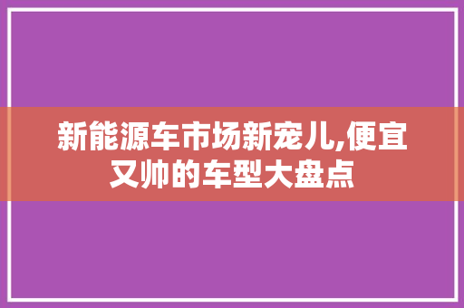 新能源车市场新宠儿,便宜又帅的车型大盘点
