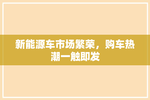 新能源车市场繁荣，购车热潮一触即发