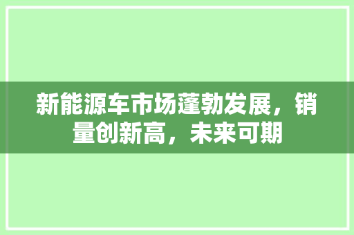 新能源车市场蓬勃发展，销量创新高，未来可期