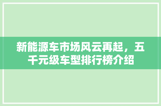 新能源车市场风云再起，五千元级车型排行榜介绍