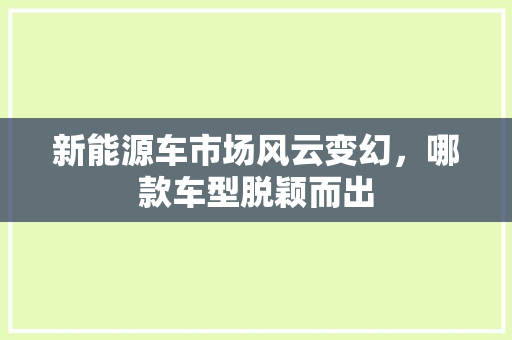 新能源车市场风云变幻，哪款车型脱颖而出