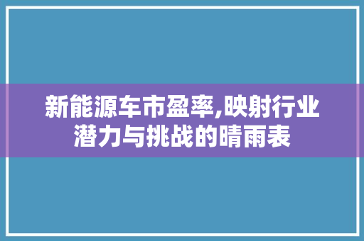 新能源车市盈率,映射行业潜力与挑战的晴雨表
