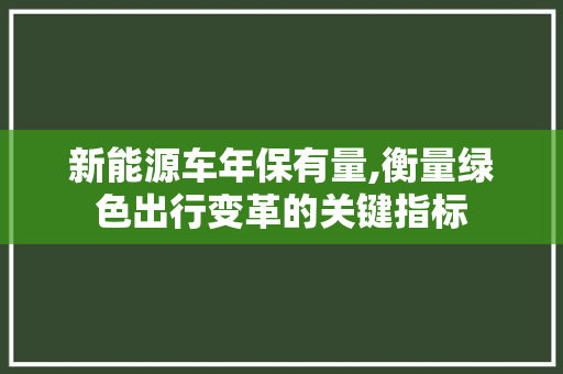 新能源车年保有量,衡量绿色出行变革的关键指标