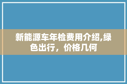 新能源车年检费用介绍,绿色出行，价格几何