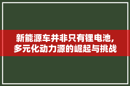 新能源车并非只有锂电池,多元化动力源的崛起与挑战