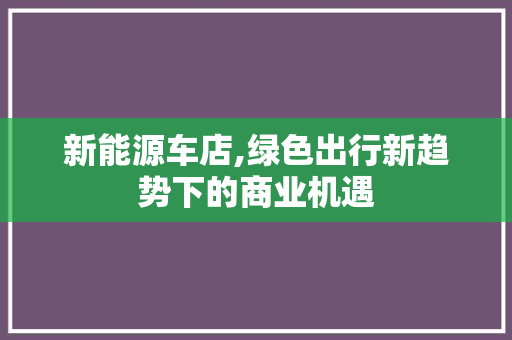 新能源车店,绿色出行新趋势下的商业机遇