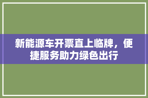新能源车开票直上临牌，便捷服务助力绿色出行