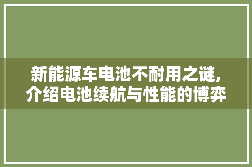 新能源车电池不耐用之谜,介绍电池续航与性能的博弈