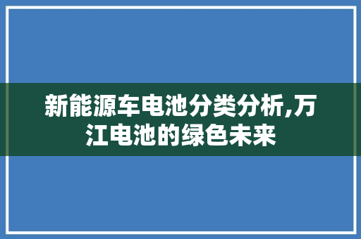 新能源车电池分类分析,万江电池的绿色未来