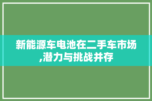 新能源车电池在二手车市场,潜力与挑战并存