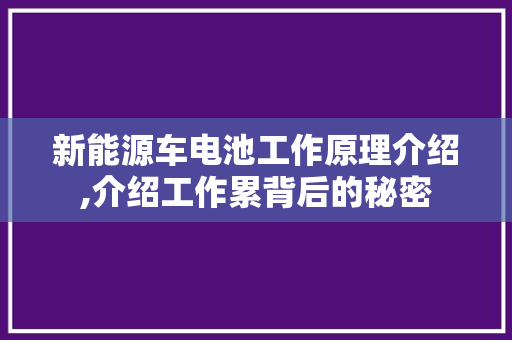 新能源车电池工作原理介绍,介绍工作累背后的秘密