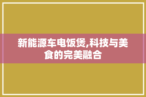 新能源车电饭煲,科技与美食的完美融合