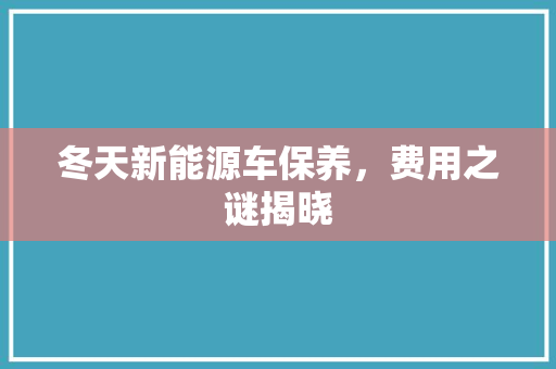 冬天新能源车保养，费用之谜揭晓