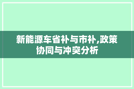 新能源车省补与市补,政策协同与冲突分析